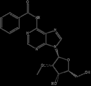N6-Bz-2'-OMe-rA
