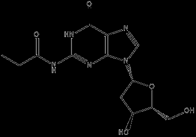 N2-iBu-2'-dG