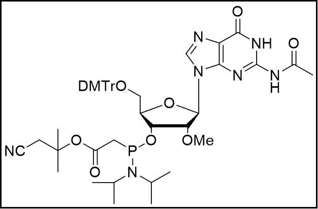 DMTr-2-OMe-G(Ac) PACE amidite