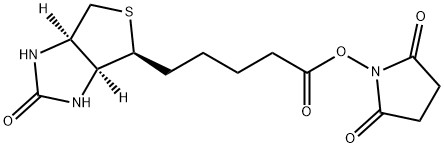 Biotin NHS