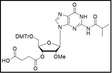 2'-OMe-G(ibu)-3'-succinate