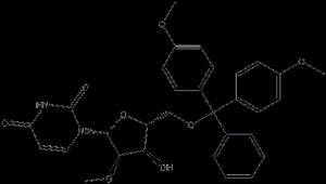 DMT-2'-OMe-Ur