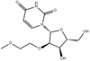 2’-O-Methoxyethoxy uridine