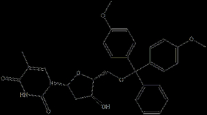 DMT-2'-dT