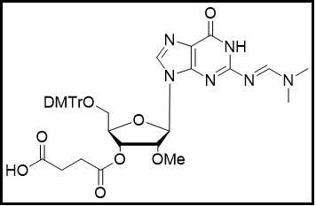2'-OMe-G(dmf) -3'-succinate