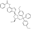 N-Isobutyryl-3'-O-(4,4'-diMethoxytrityl)-2'-deoxyguanosine