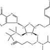DMT-2'-O-TBDMS-G(dmf)-CE-Phosphoramidite