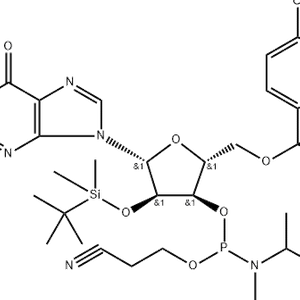 DMT-2'-O-TBDMS-G(dmf)-CE-Phosphoramidite